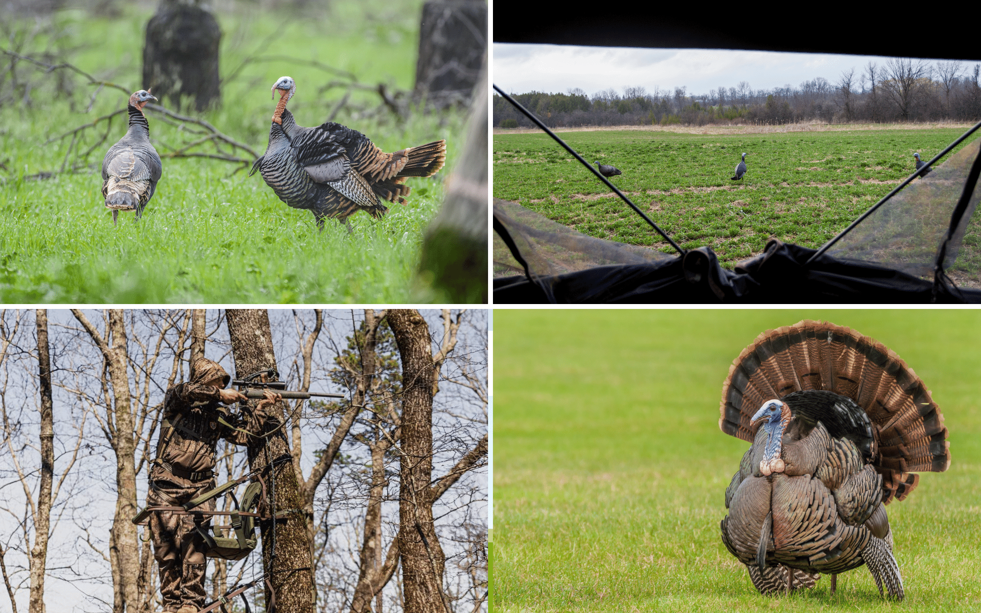 Turkey Hunting Gear Products You May Need