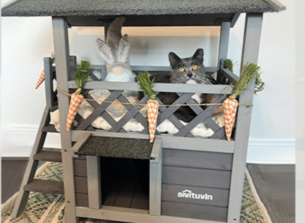 Fun Adventures For Your Feline With an Outdoor Cat Tree