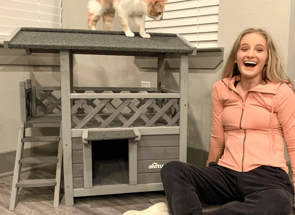 Fun Adventures For Your Feline With an Outdoor Cat Tree