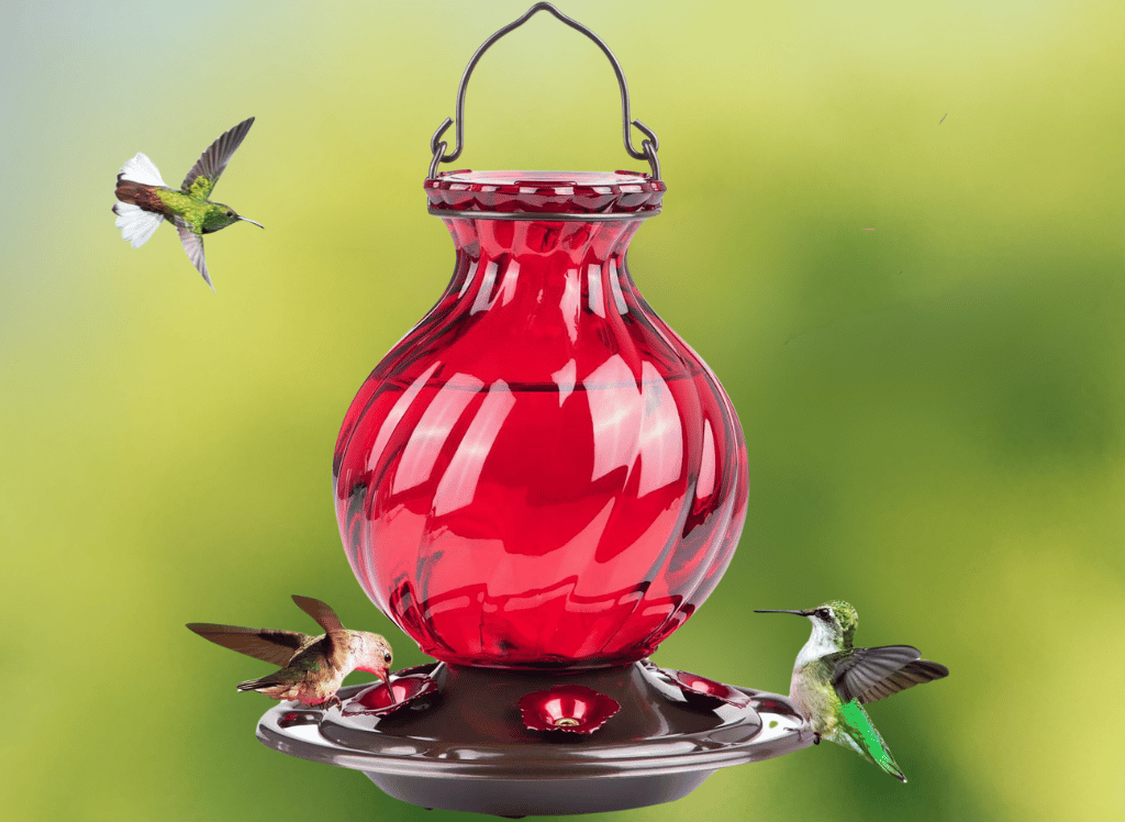 Attract More Hummingbirds With A Hummingbird Feeder