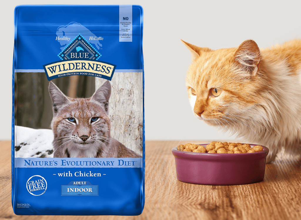 Premium Cat Food for Healthy Felines