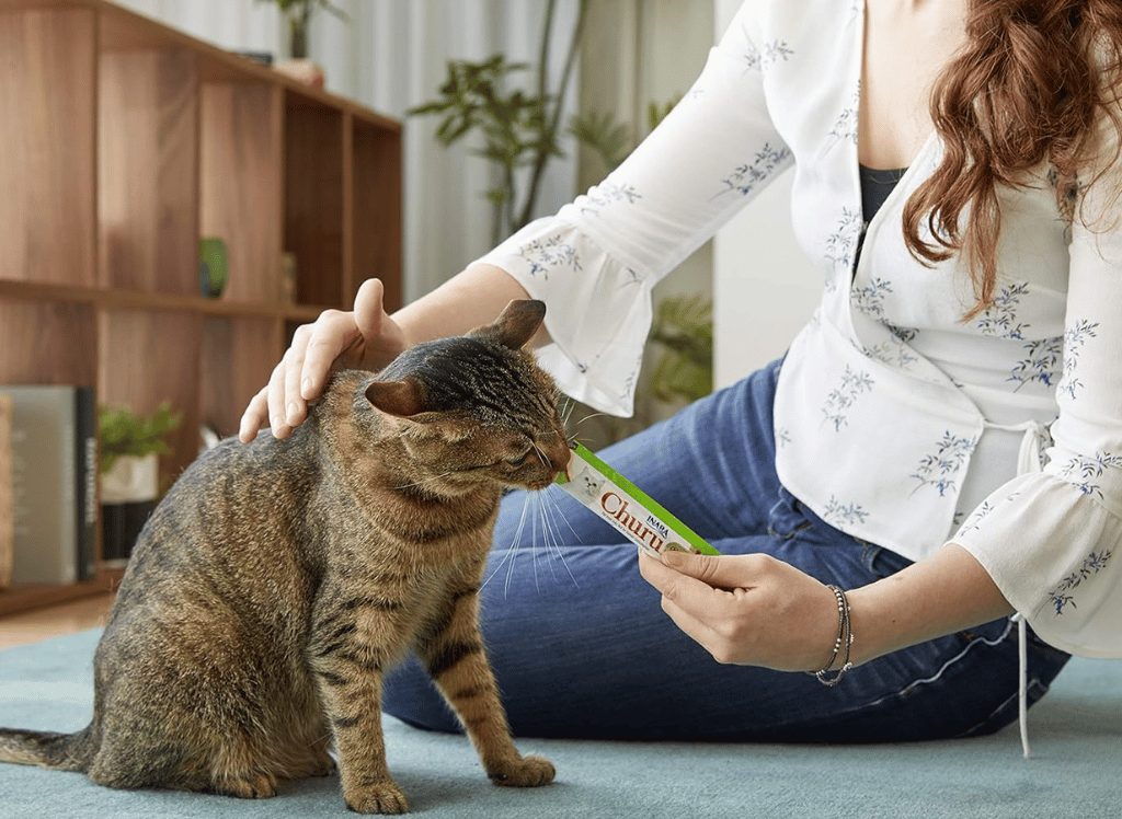 Your Cat Can't Resist Churu Cat Treats