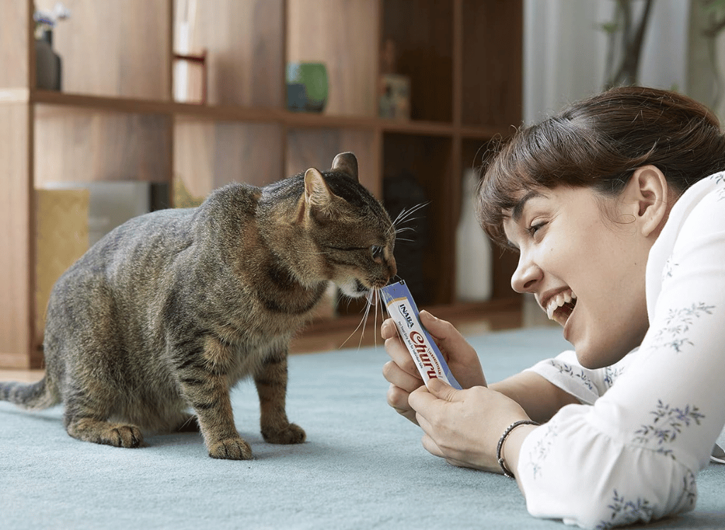 Your Cat Can't Resist Churu Cat Treats