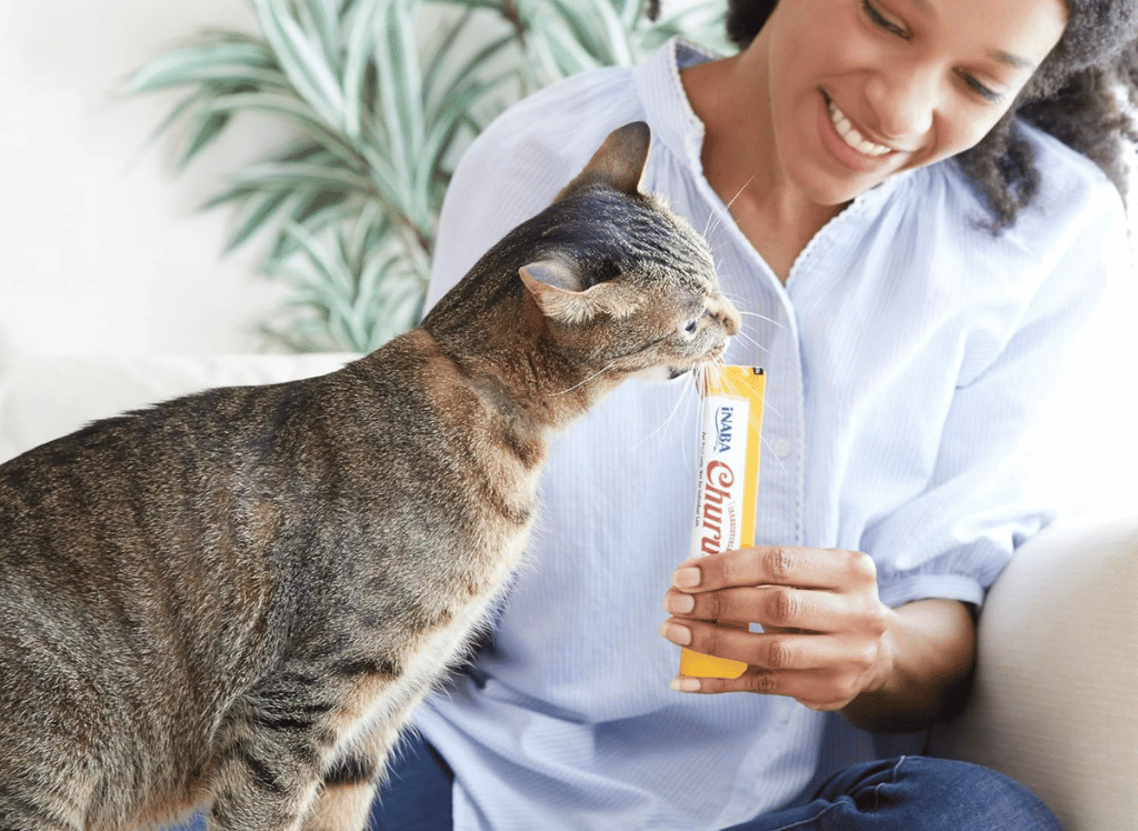 Your Cat Can't Resist Churu Cat Treats