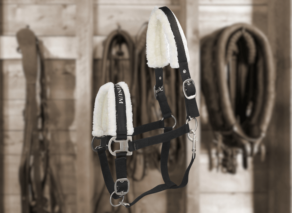 Control & Comfort for Your Equine With A Horse Halter