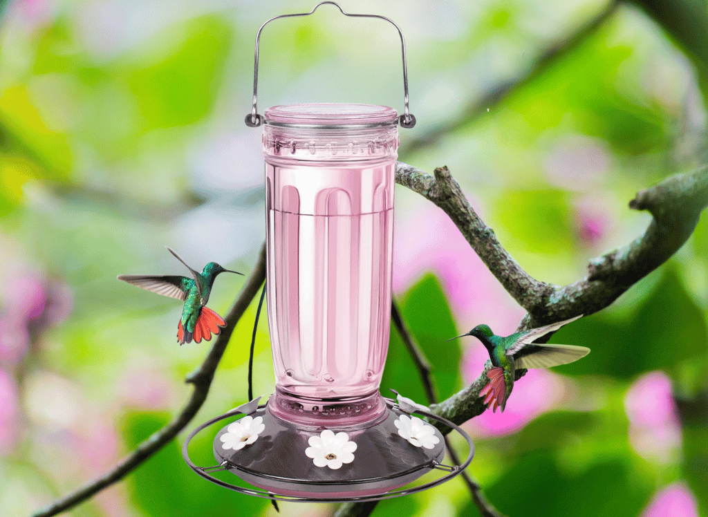 Attract More Hummingbirds With A Hummingbird Feeder