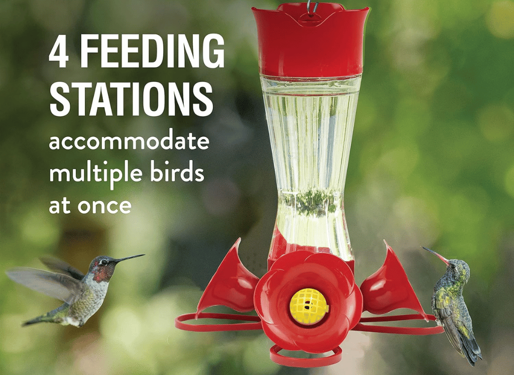 Attract More Hummingbirds With A Hummingbird Feeder