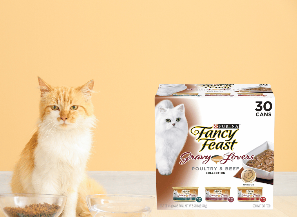 Premium Cat Food for Healthy Felines