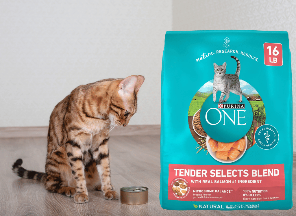 Premium Cat Food for Healthy Felines