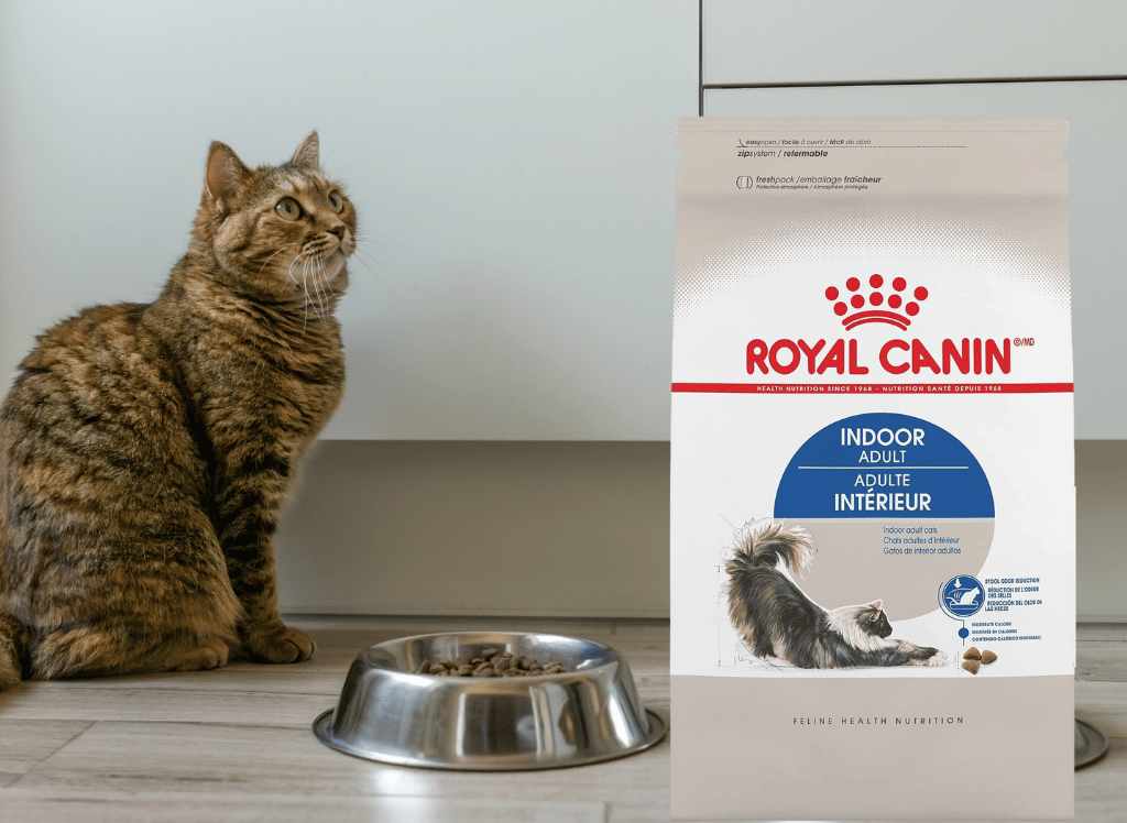 Premium Cat Food for Healthy Felines