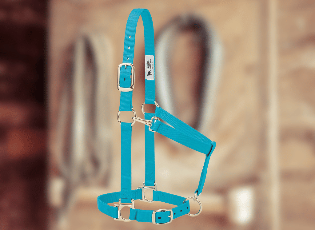 Control & Comfort for Your Equine With A Horse Halter