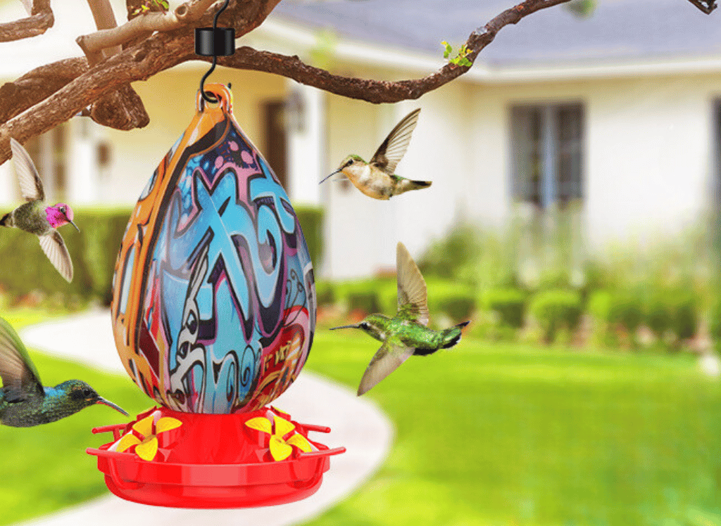 Attract More Hummingbirds With A Hummingbird Feeder