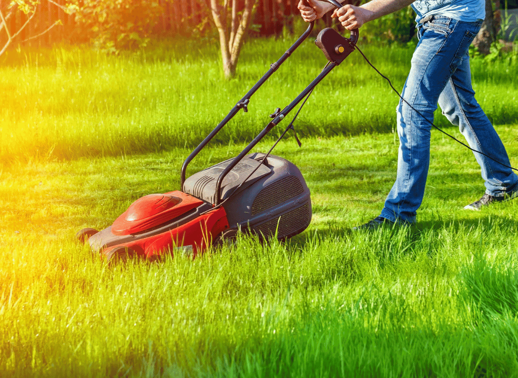 Stay Green And Clean With An Electric Lawn Mower