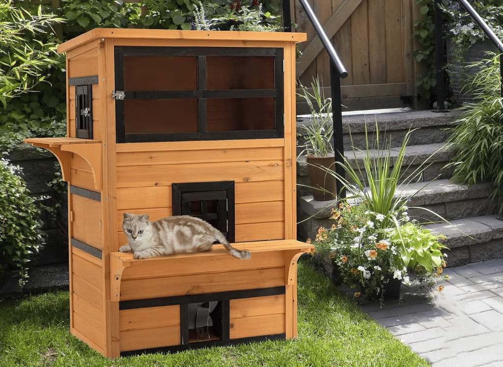 Fun Adventures For Your Feline With an Outdoor Cat Tree