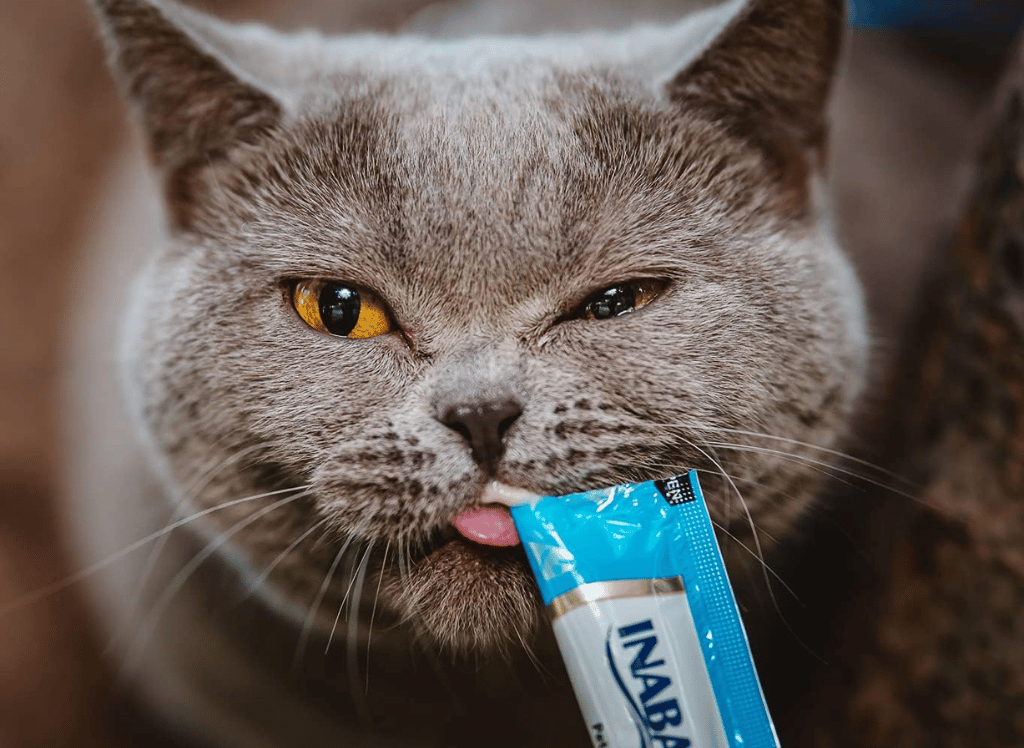 Your Cat Can't Resist Churu Cat Treats