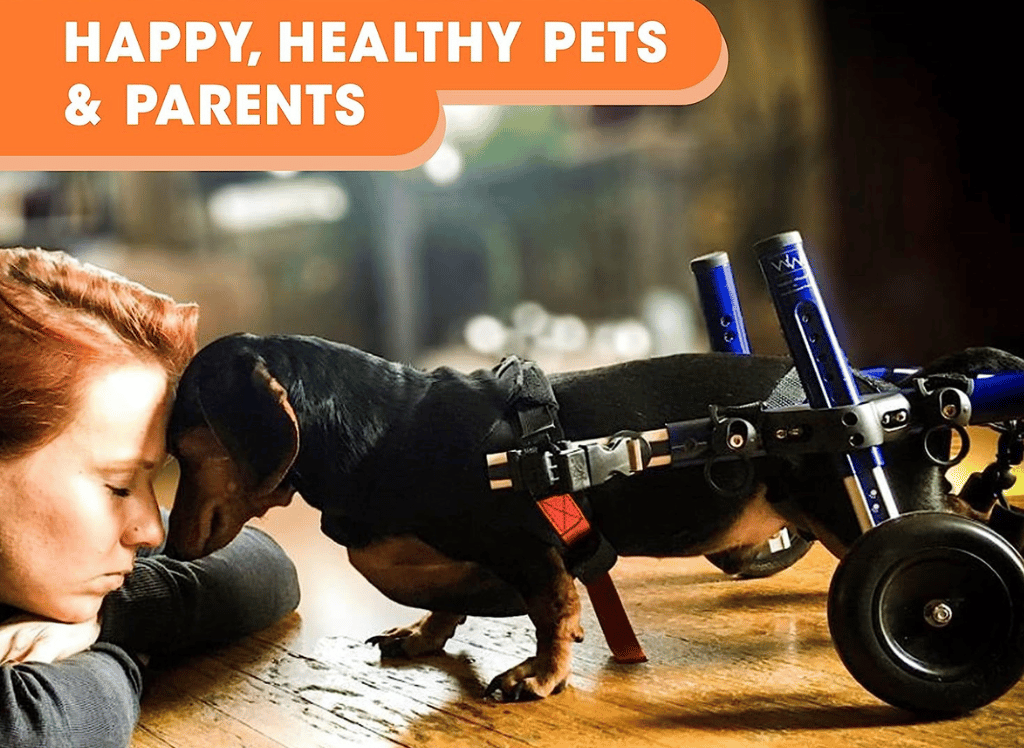 Achieving Mobility and Comfort Choosing the Right Hip Support Sling