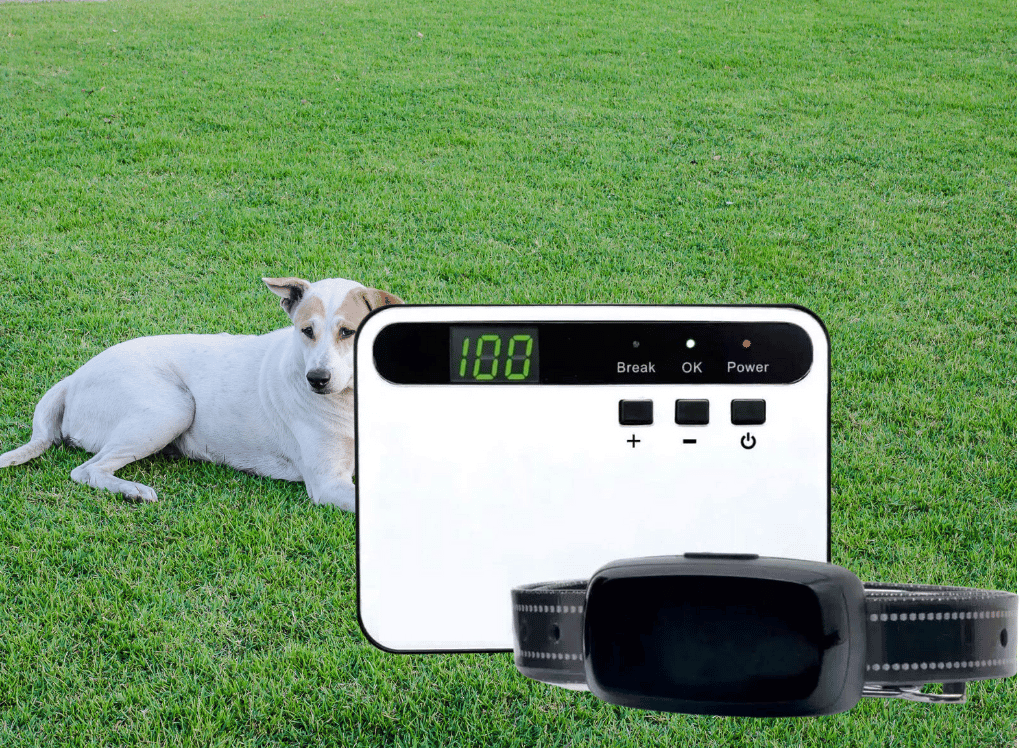 Unleashing Your Dog's Potential The Benefits of Extreme Dog Fence Products