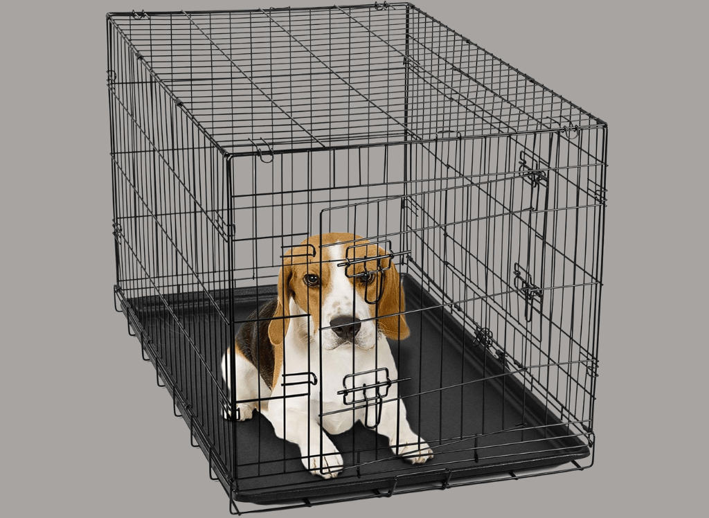 The Perfect Solution A Dog Crate with Divider