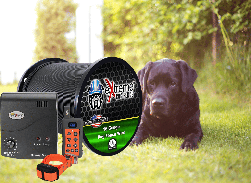 Unleashing Your Dog's Potential The Benefits of Extreme Dog Fence Products