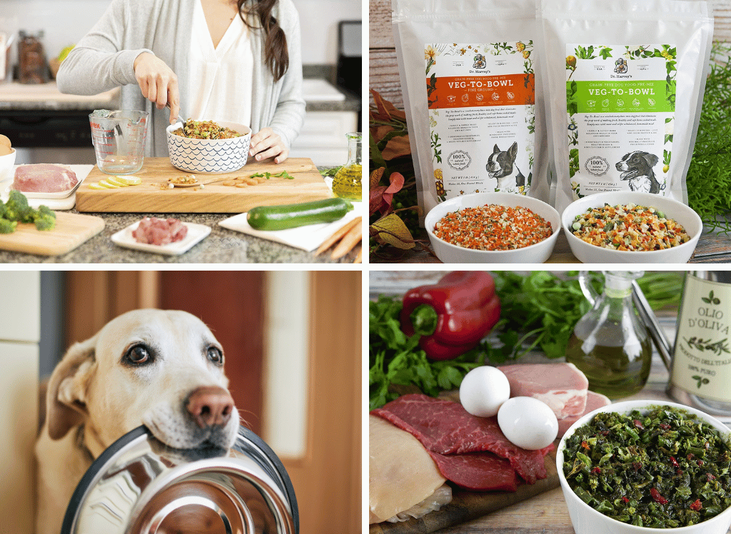 The Best Way to Keep Your Dog Healthy: Why Dr. Harvey's Dog Food is the Right Choice