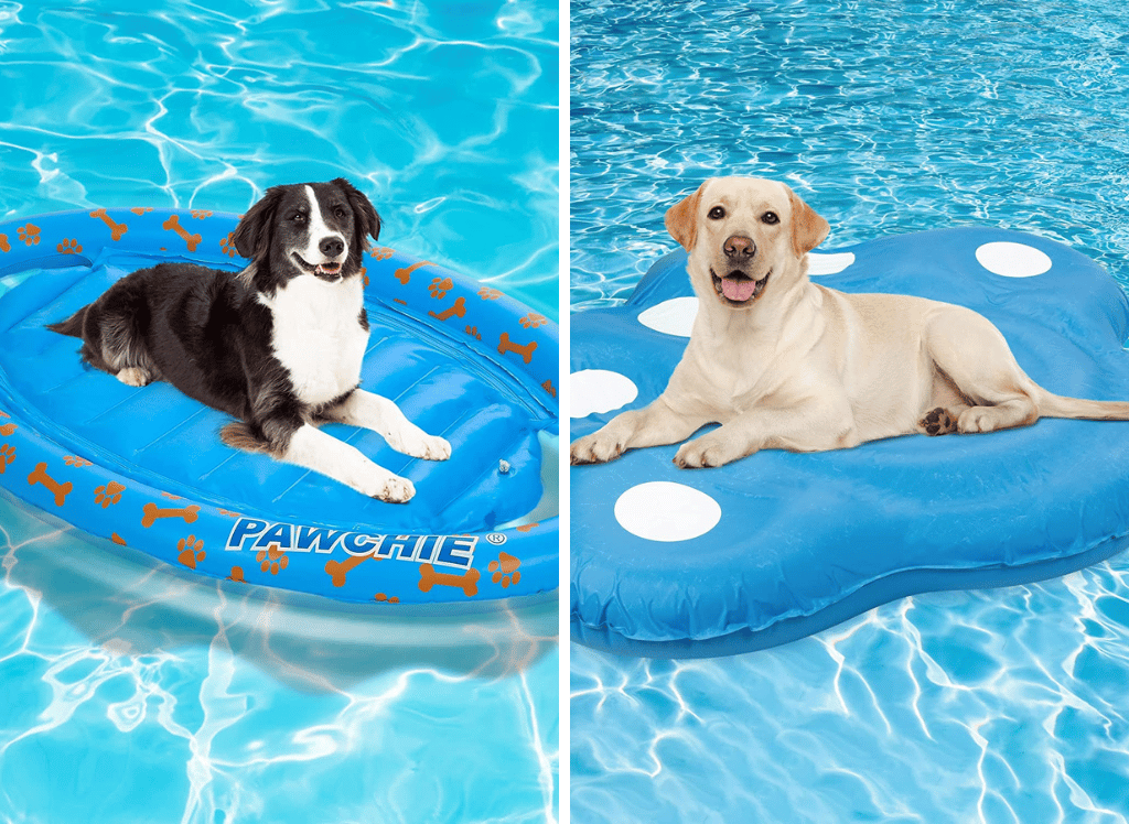 A Pup’s Dream: A Dog Pool Float for Summertime Fun!