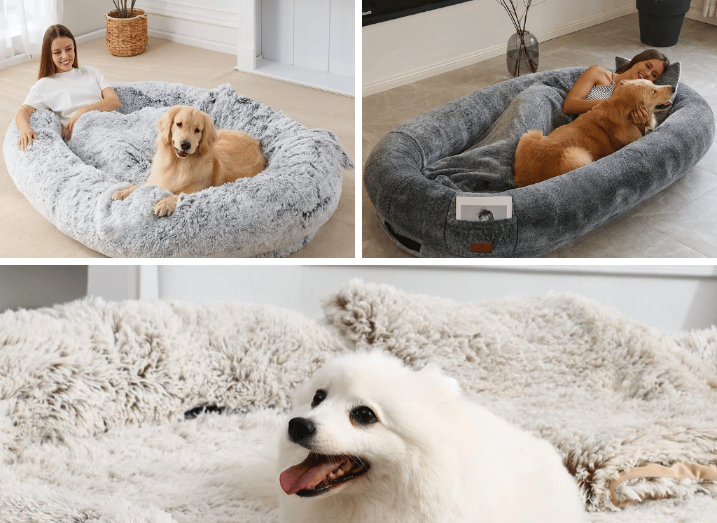 A Snuggle Spot With Your Best Friend: Human Sized Dog Bed