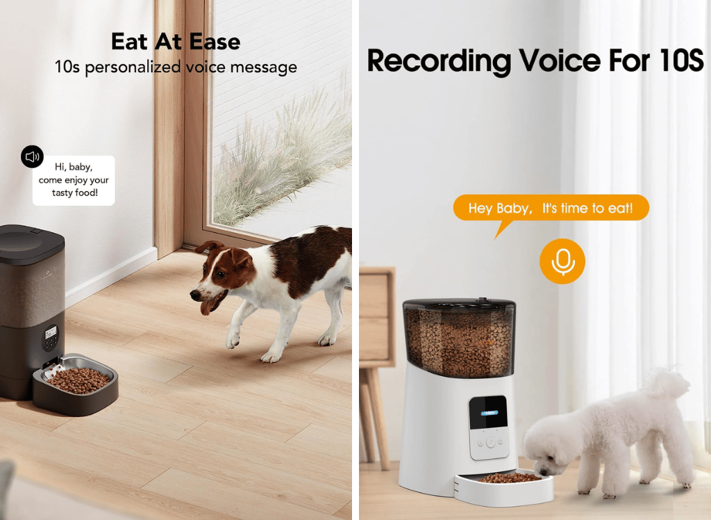 Treat Your Dog to Mealtimes With A Automatic Dog Feeder