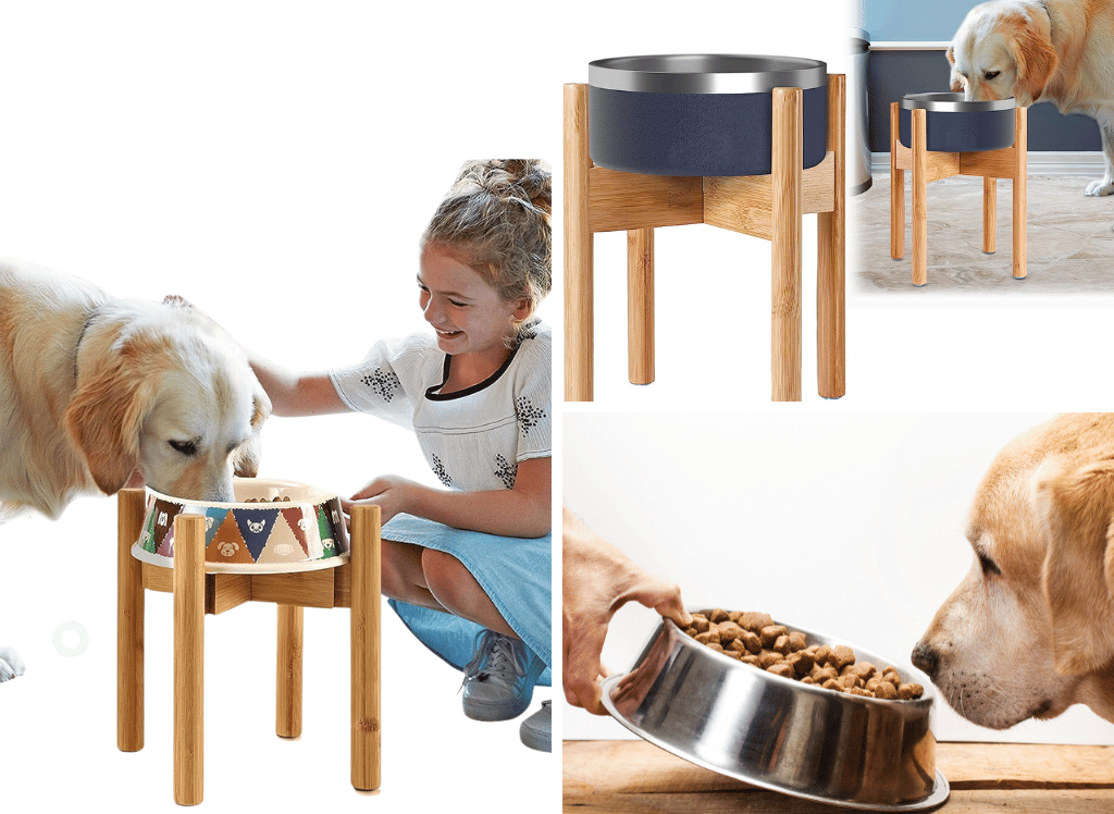 A Bowl Above the Rest: Elevate Your Dog's Dining Experience with a Dog Bowl Stand!