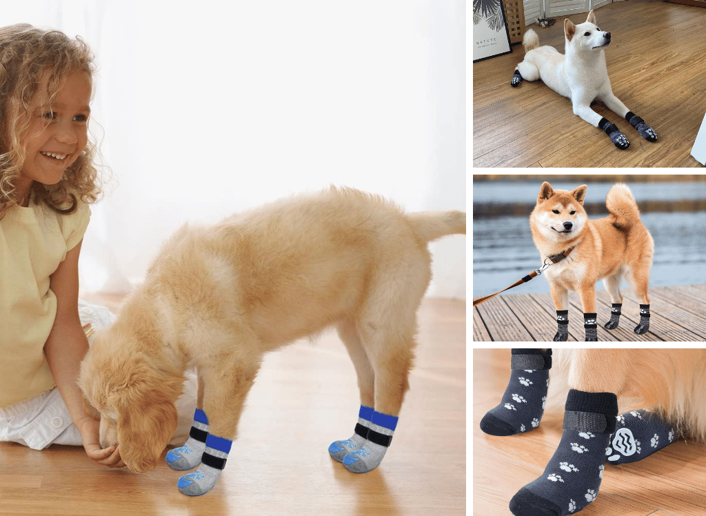 Fido's Feet: Say Goodbye to Slips with Dog Grip Socks!