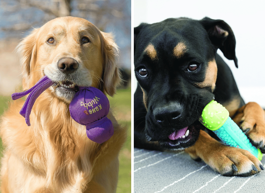 Kong Dog Toys: The Ultimate Toy for Your Furry Friend!