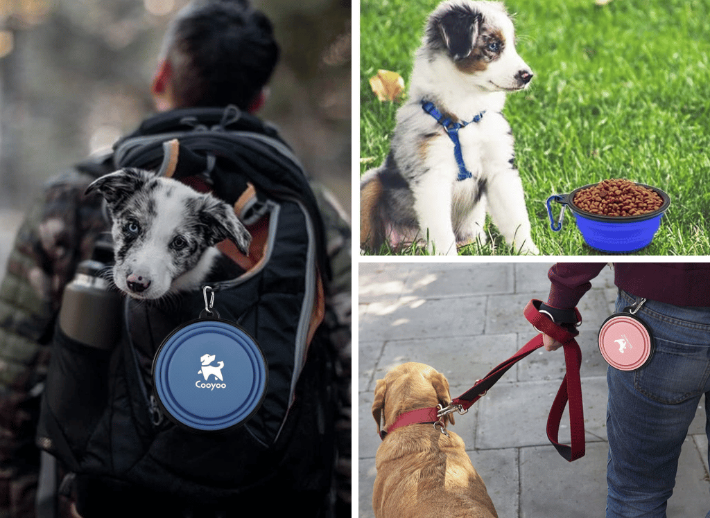 Collapsible Dog Bowl is the Compact Solution for Your Pup's On-the-go Needs