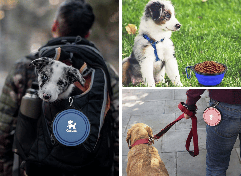 A Collapsible Dog Bowl  For Your Pup's On-the-go Needs