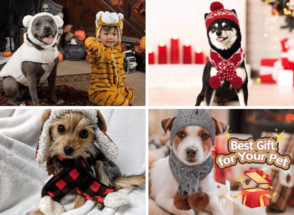Keep Your Canine Comfy: 5 Fun Dog Hats for the Winter Season