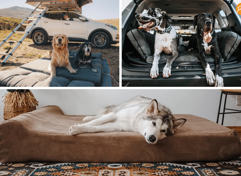 Get Your Pup The Perfect Rest With a Big Barker Dog Bed