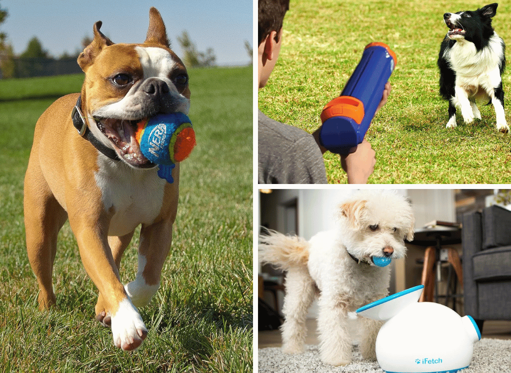 The Ultimate Guide to Choosing the Perfect Dog Ball Launcher