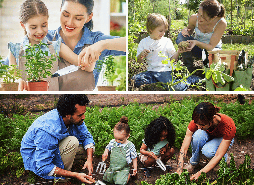 A Garden Tool Set is Essential Gardening Equipment