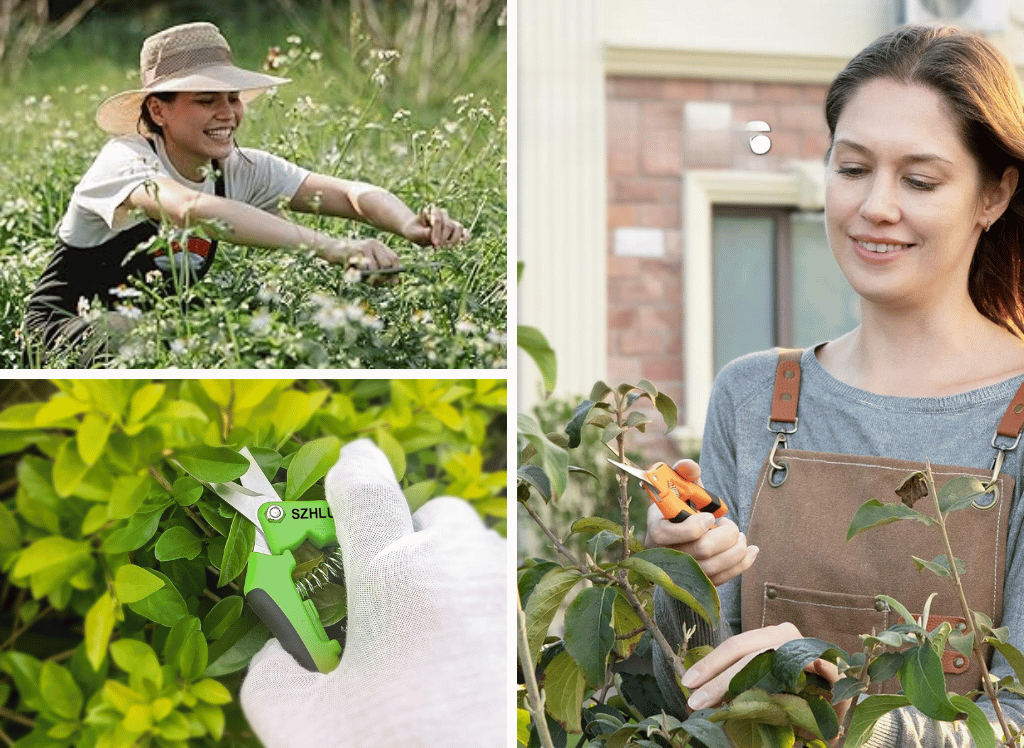 Precision Cutting for Your Garden With Gardening Scissors