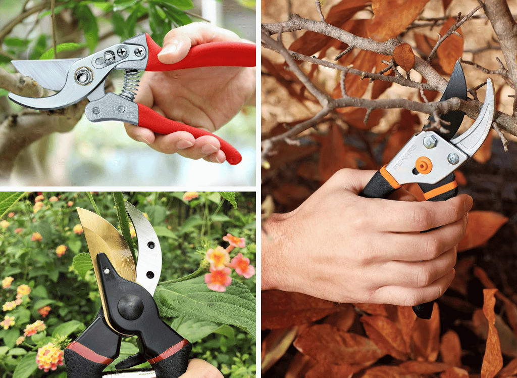 Precise Cutting With Pruning Shears