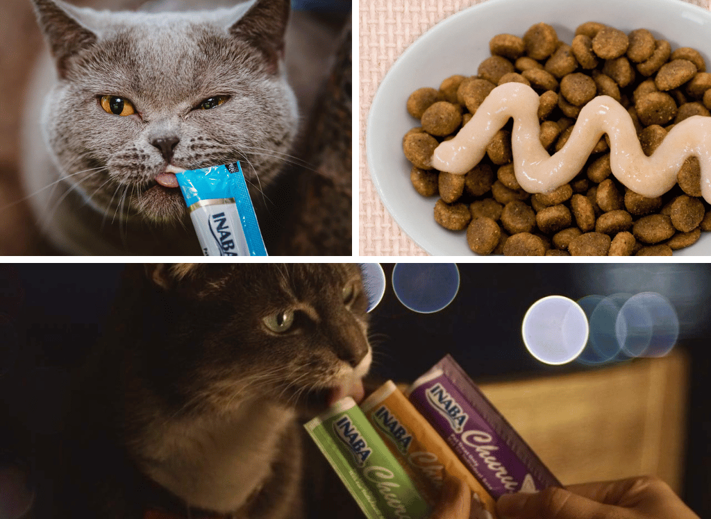 Your Cat Can't Resist Churu Cat Treats