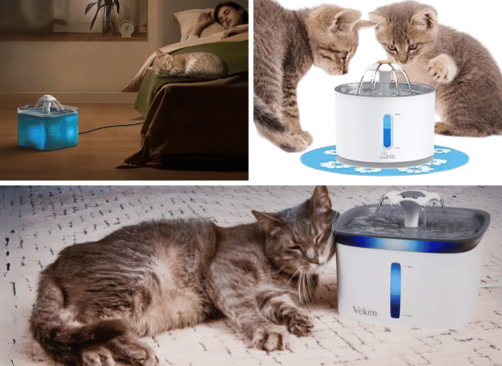 Healthy Hydration For Your Feline With A Cat Water Fountain