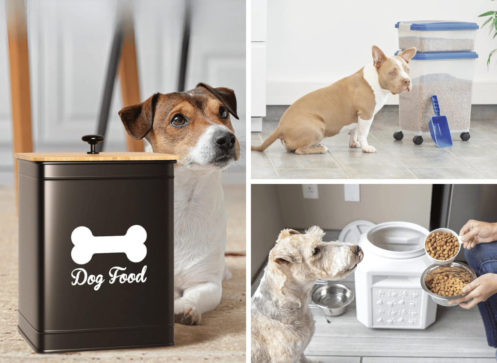 Keep Your Pet's Food Fresh With A Dog Food Storage Container