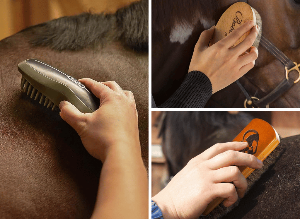 Groom With The Best Horse Brush Selection