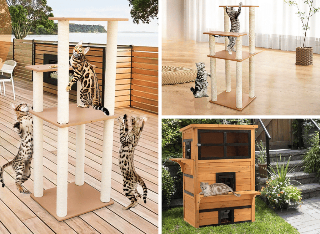 Fun Adventures For Your Feline With an Outdoor Cat Tree