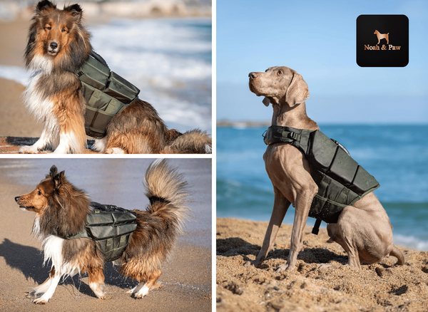 Safety and Style: NOAH & PAW Life Jacket for Dogs